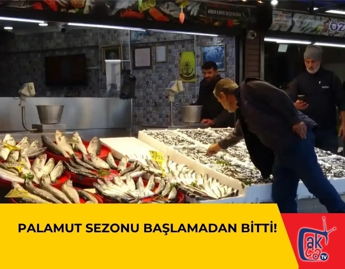 Palamut Sezonu Başlamadan Bitti!